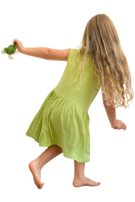 Turtle Applique Dress