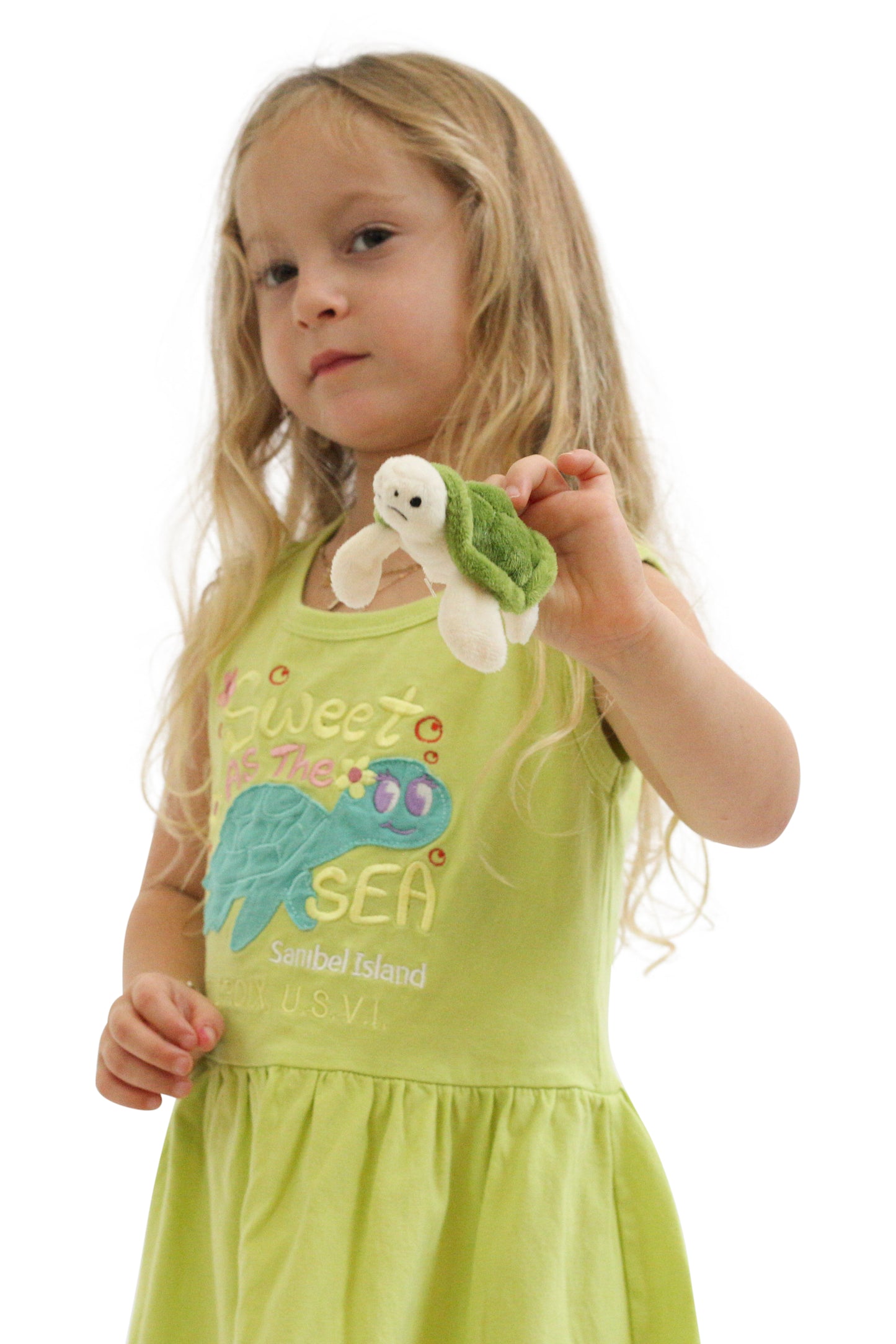 Turtle Embroidered Dress